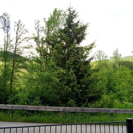 Feapp Parken & Pennen Leilighet Mondsee Eksteriør bilde