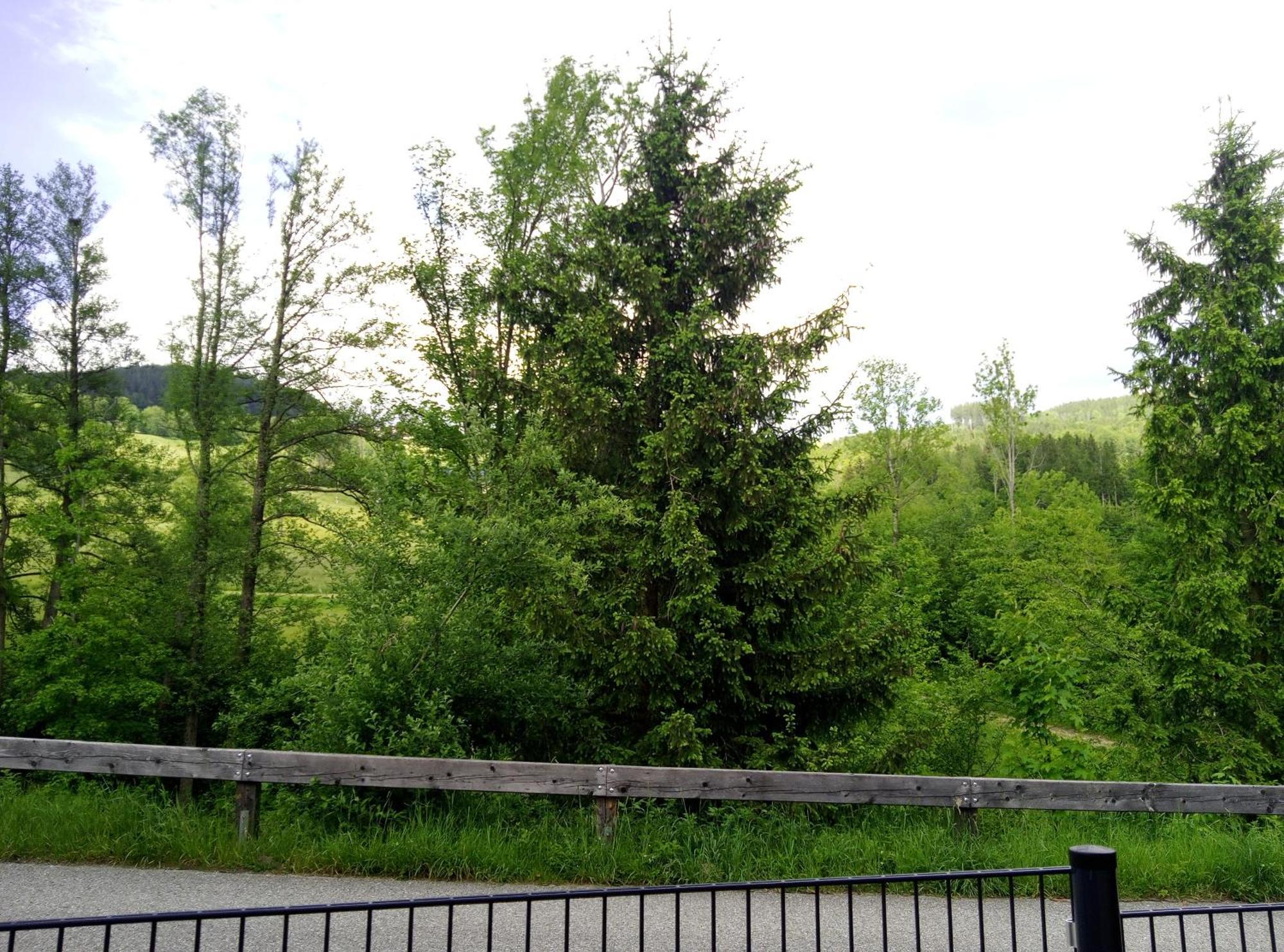 Feapp Parken & Pennen Leilighet Mondsee Eksteriør bilde