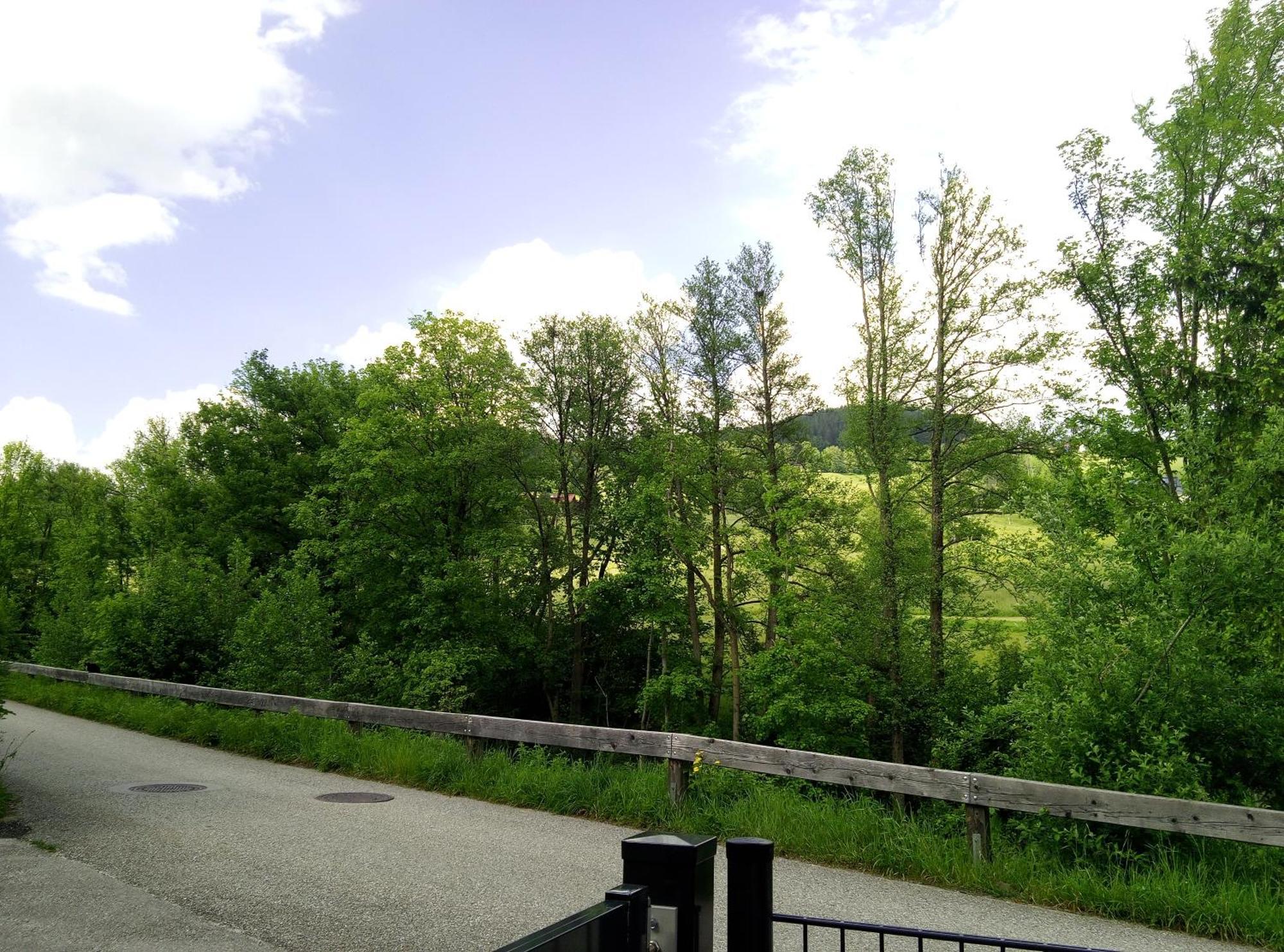 Feapp Parken & Pennen Leilighet Mondsee Eksteriør bilde